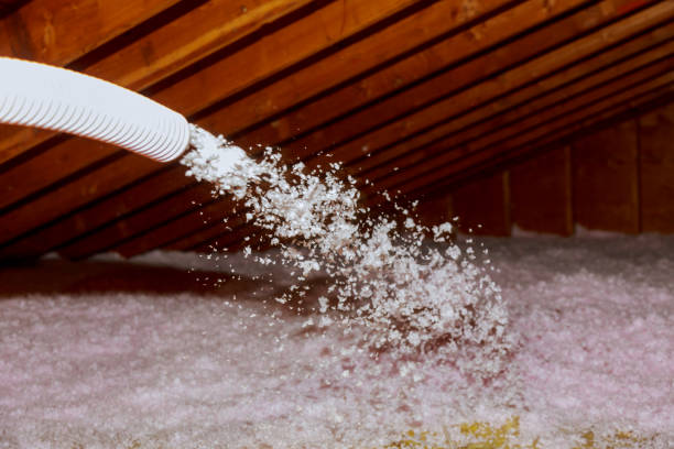 Best Commercial Insulation in Hargill, TX