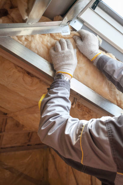 Best Residential Insulation in Hargill, TX
