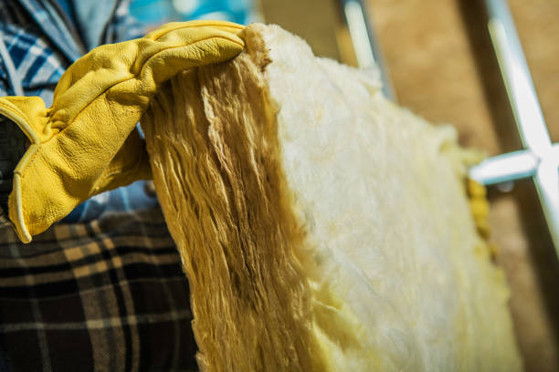 Best Insulation Installation Services in Hargill, TX