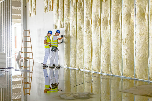 Best Specialty Insulation in Hargill, TX